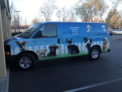 Vehicle Graphics & Wraps Photo